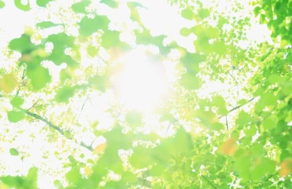 札幌で体の健康とお財布の健康を考える｜痛みの少ない施術が札幌市で人気のメンズ脱毛サロンPandora